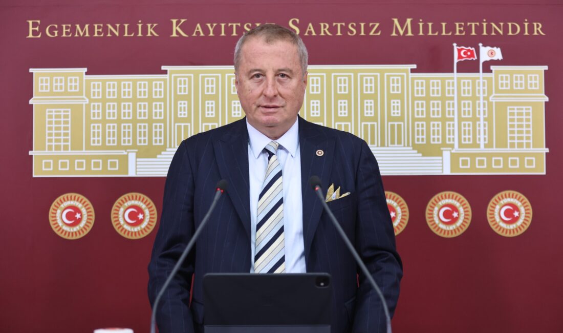 Ana Sayfa › Afyon › İYİ Partili Olgun: Sorumluluğumuzu yerine