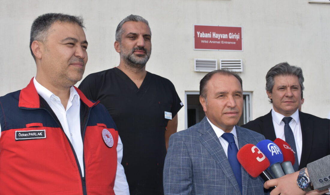 AFYONKARAHİSAR (AA) – Afyon Kocatepe Üniversitesi (AKÜ) Yaban Hayatını Kurtarma,