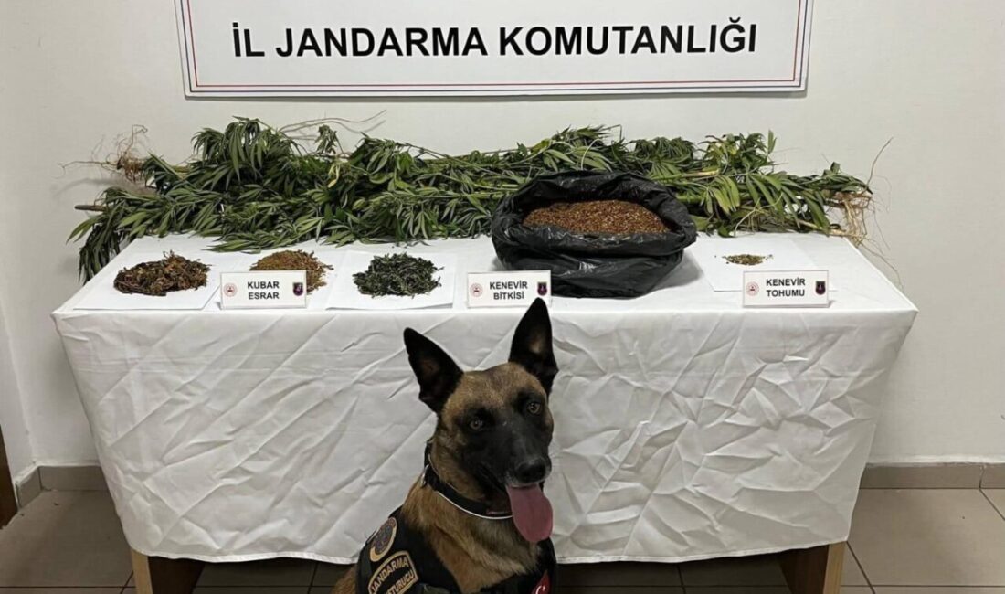 AFYONKARAHİSAR (AA) – Afyonkarahisar'da düzenlenen uyuşturucu operasyonlarında yakalanan 18 şüpheliden