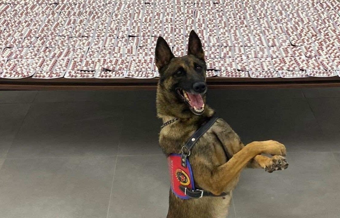 DENİZLİ (AA) – Denizli'nin Merkezefendi ilçesinde valizinde uyuşturucu ele geçirilen