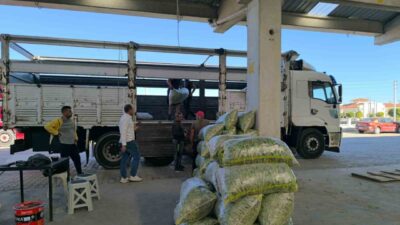Afyonkarahisar’ın Şuhut ilçesinde kurulan fasulye pazarında üretici, tüccar ve nakliyeciler