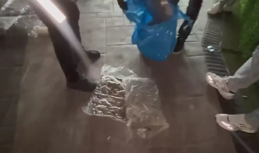 İstanbul'da düzenlenen uyuşturucu operasyonlarında 366,5 kilo uyuşturucu madde ve 1.572.000