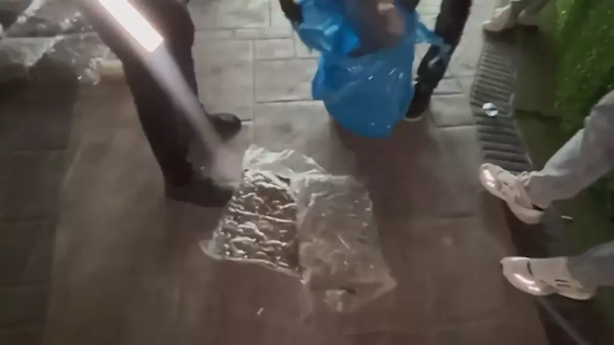 İstanbul'da düzenlenen uyuşturucu operasyonlarında 366,5 kilo uyuşturucu madde ve 1.572.000