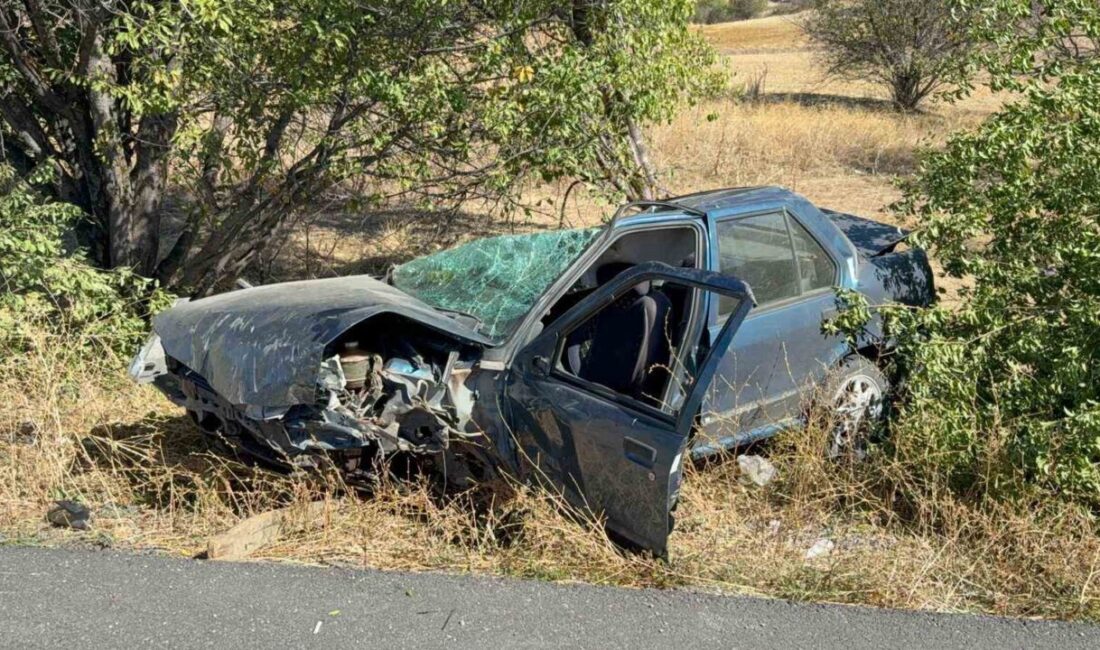 Afyonkarahisar’da ağaca çarparak takla atan otomobilde 3 kişi yaralanırken olayda,