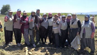Türkiye’nin önemli patates üretim merkezlerinden birisi olan Afyonkarahisar Şuhut ilçesinde
