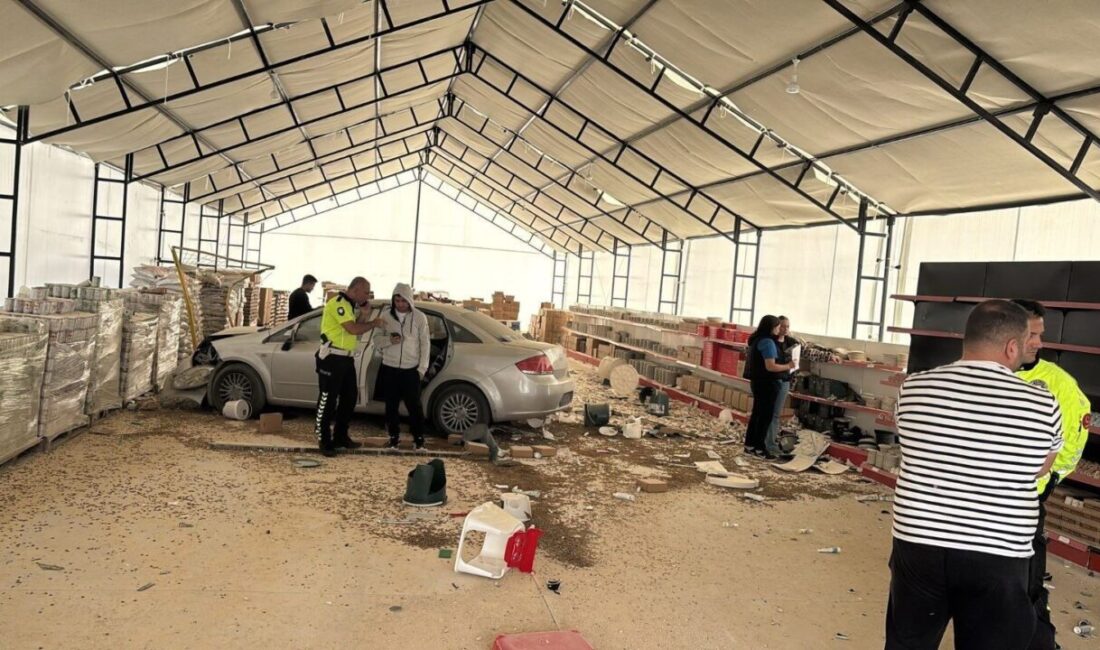 Bilecik’in Bozüyük ilçesinde kontrolden çıkan otomobil, kedi-köpek maması üretim tesisine