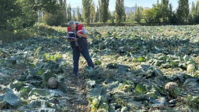 Ana Sayfa › Afyon › Afyonkarahisar’da Tarım Ürünleri Kontrolleri Sürüyor