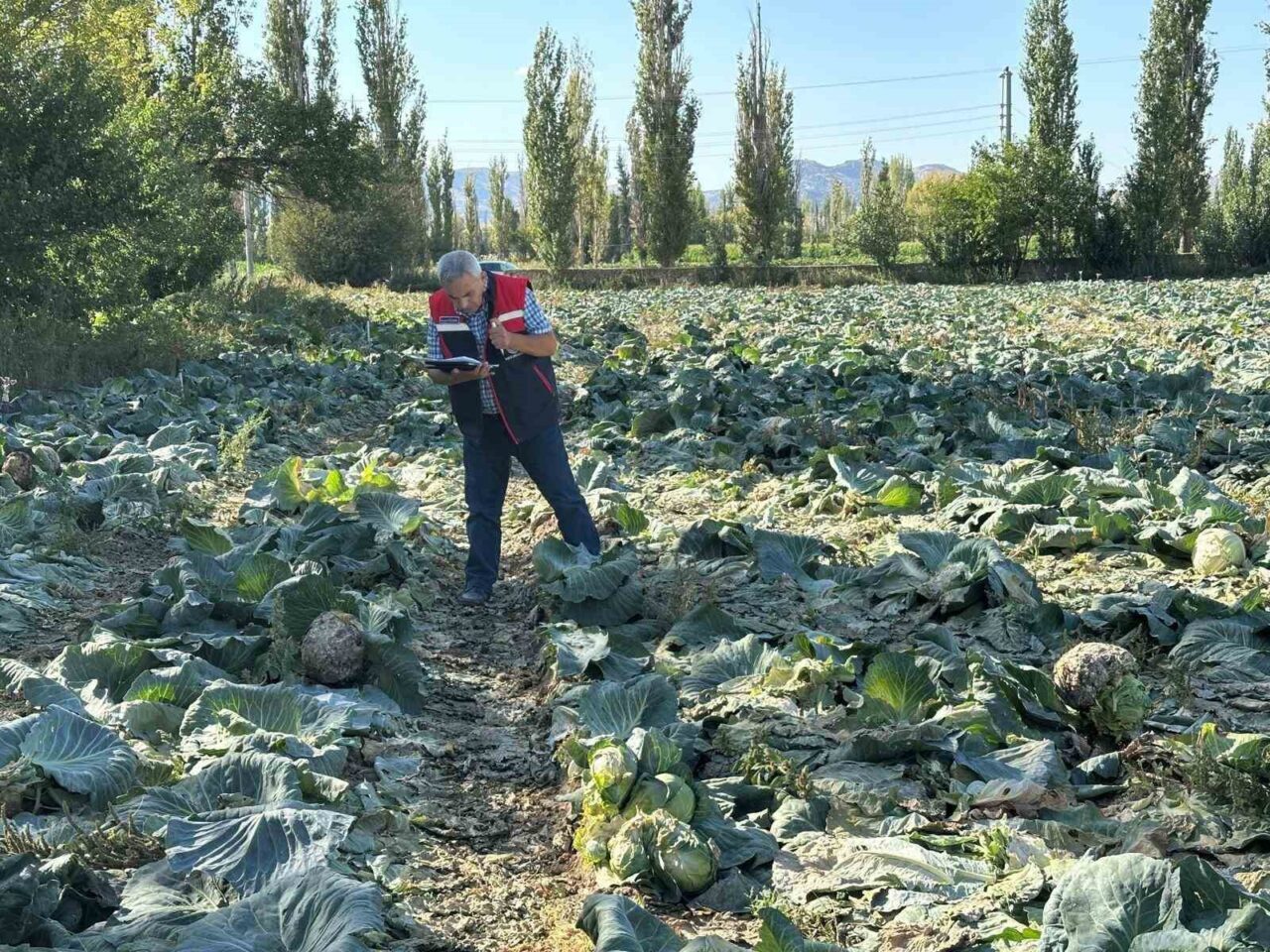 Afyonkarahisar’da Tarım Ürünleri Kontrolleri Sürüyor – Son Dakika Haberleri