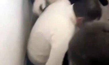 Van’da cinayet suçundan müebbet hapis cezası kesinleşen firari hükümlü, 11