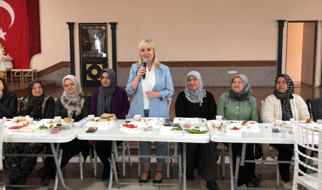 Milliyetçi Hareket Partisi Sinanpaşa İlçe Kadın, Aile, Çocuk ve Engelli