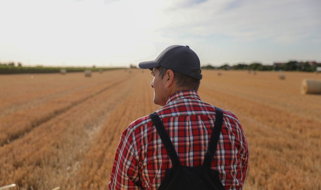 Afyonkarahisar, Bilecik, Eskişehir, Kütahya ve Uşak’ta hizmet veren Zorlu Enerji