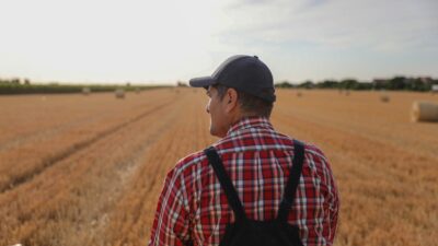 Afyonkarahisar, Bilecik, Eskişehir, Kütahya ve Uşak’ta hizmet veren Zorlu Enerji