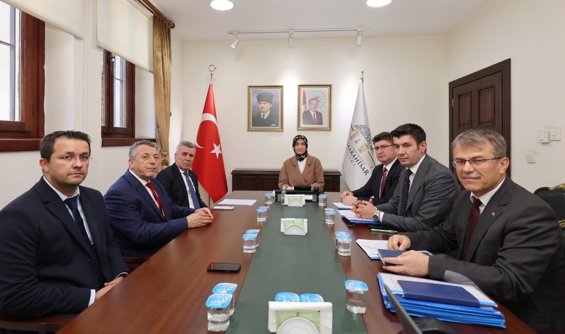 Afyonkarahisar Valisi Doç. Dr. Kübra Güran Yiğitbaşı, köylerdeki içme suyu