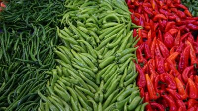 BATI AKDENİZ LİDER Antalya, Isparta ve Burdur’u kapsayan BAİB’in bu