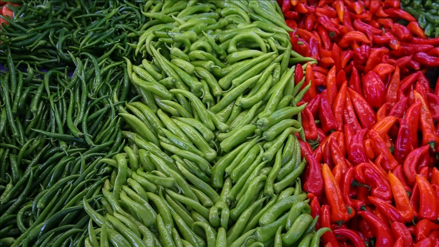 BATI AKDENİZ LİDER Antalya, Isparta ve Burdur’u kapsayan BAİB’in bu