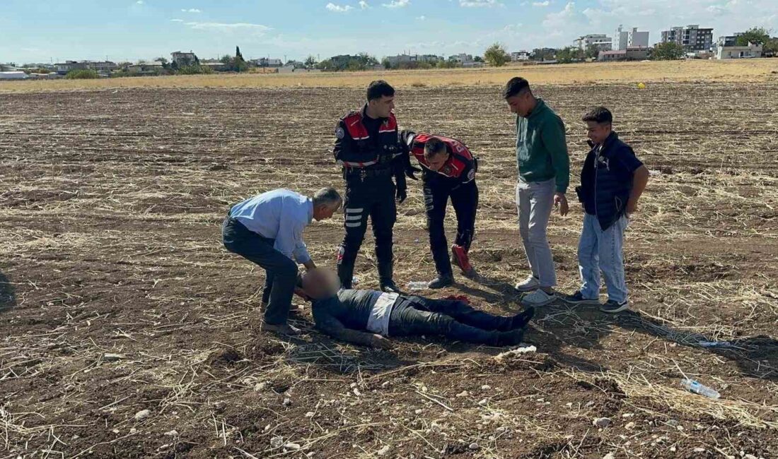 Adıyaman merkez Alitaşı Mahallesi 1254 Sokak’taki boş bir araziye araçla