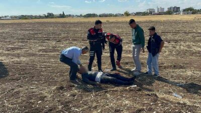 Adıyaman merkez Alitaşı Mahallesi 1254 Sokak’taki boş bir araziye araçla