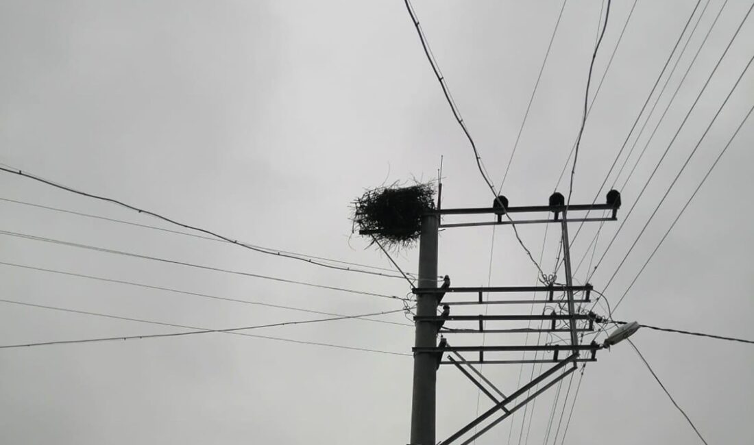 Dünya Göçmen Kuşlar Günü dolayısıyla açıklamalarda bulunan OEDAŞ Direktörü Muzaffer