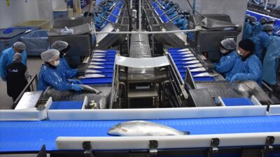 Doğu Karadeniz İhracatçılar Birliği (DKİB) verilerine göre, geçen yıl aynı