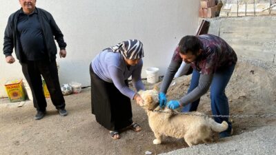 İlçede hayvanseverlerin, hayvan sahibi olmak isteyenlerin, sahipsiz kedi ve köpeği