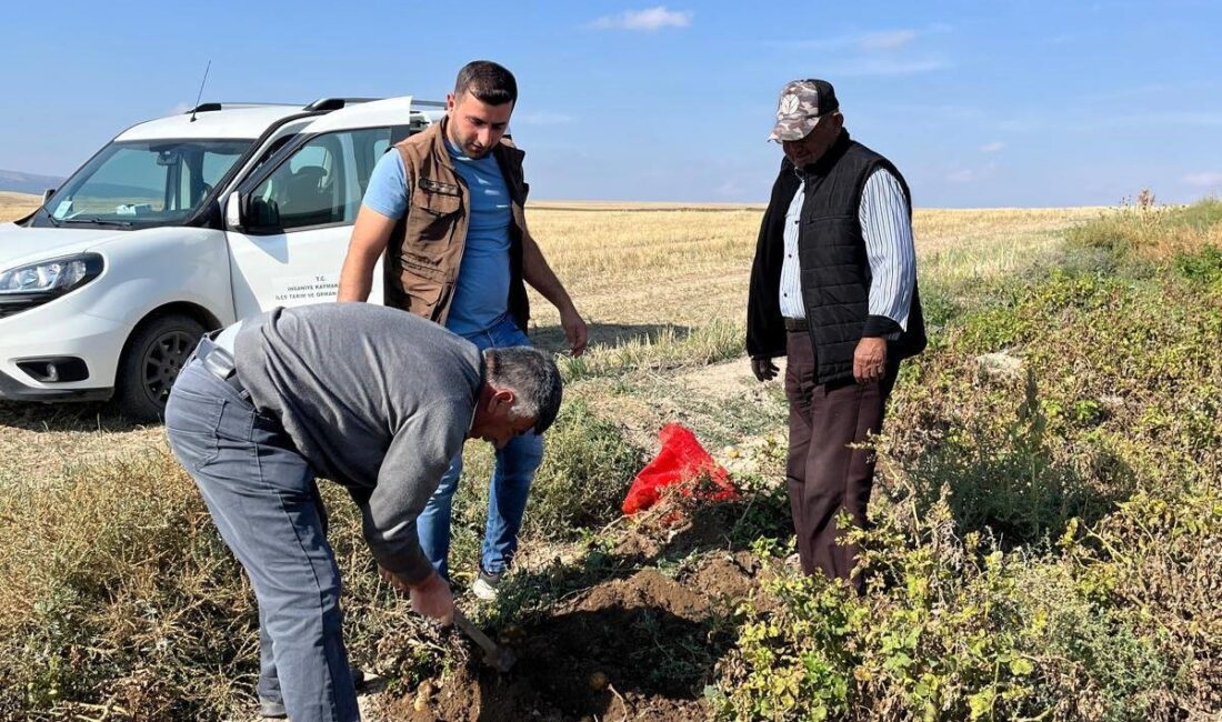 Çalışma Afyonkarahisar Tarım ve Orman İl Müdürlüğü tarafından gerçekleştirildi. Gerçekleştirilen