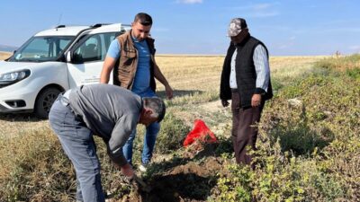 Çalışma Afyonkarahisar Tarım ve Orman İl Müdürlüğü tarafından gerçekleştirildi. Gerçekleştirilen