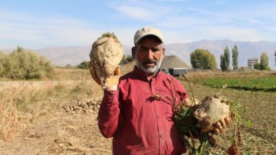 TÜİK’e göre bu yıl yüzde 6,5 rekolte düşüşüyle 21,5 milyon