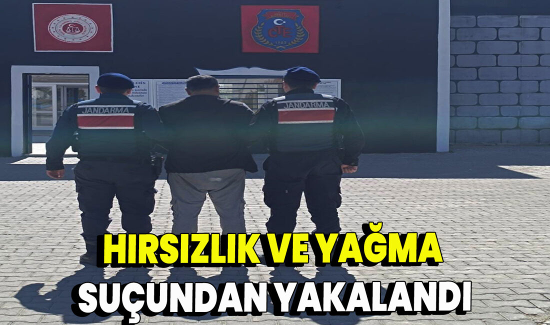 Yapılan çalışmalr neticesinde; Büyükbaş veya Küçükbaş Hayvan Hakkında Hırsızlık, Hükümlü