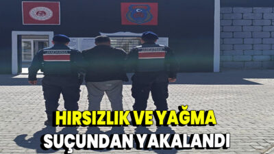 Yapılan çalışmalr neticesinde; Büyükbaş veya Küçükbaş Hayvan Hakkında Hırsızlık, Hükümlü