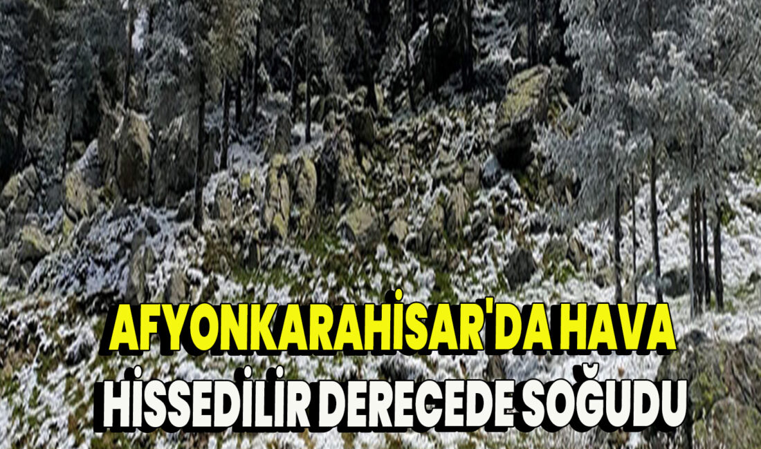 Afyonkarahisar’da dün gece etkili olan hafif kar yağışı, özellikle Kocatepe