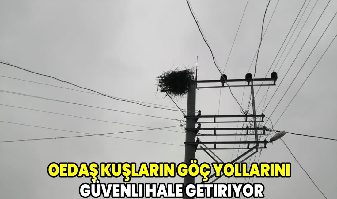 Elektrik dağıtım şirketi OEDAŞ, kuşların göç dönemlerinde elektrik direklerine yuva