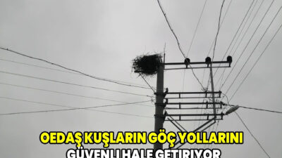 Elektrik dağıtım şirketi OEDAŞ, kuşların göç dönemlerinde elektrik direklerine yuva