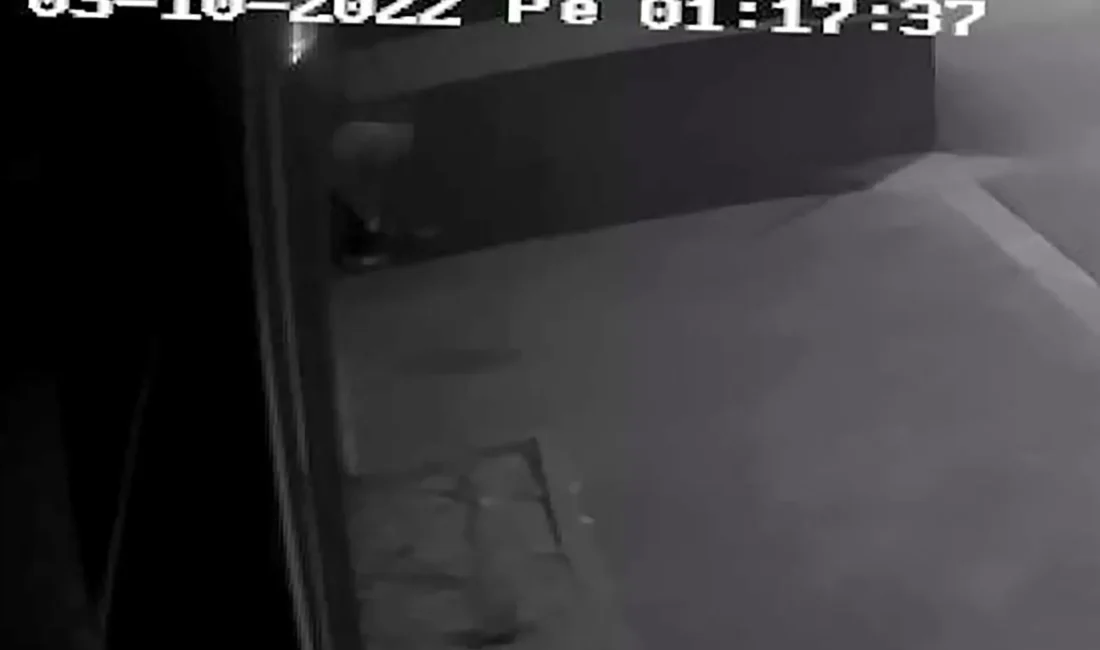 Adana’nın Seyhan ilçesinde yaşanan çelik kasa hırsızlığı, DNA analiziyle aydınlatıldı.