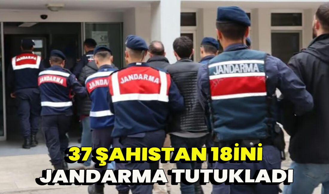 İcra edilen yol kontrol ve devriye faaliyetinde; Hırsızlık suçundan (5),