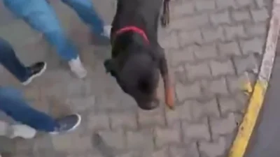 Olay, dün merkez Mersin Toroslar ilçesi Akbelen Mahallesi’nde meydana geldi.