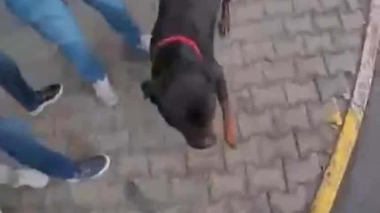 Olay, dün merkez Mersin Toroslar ilçesi Akbelen Mahallesi’nde meydana geldi.