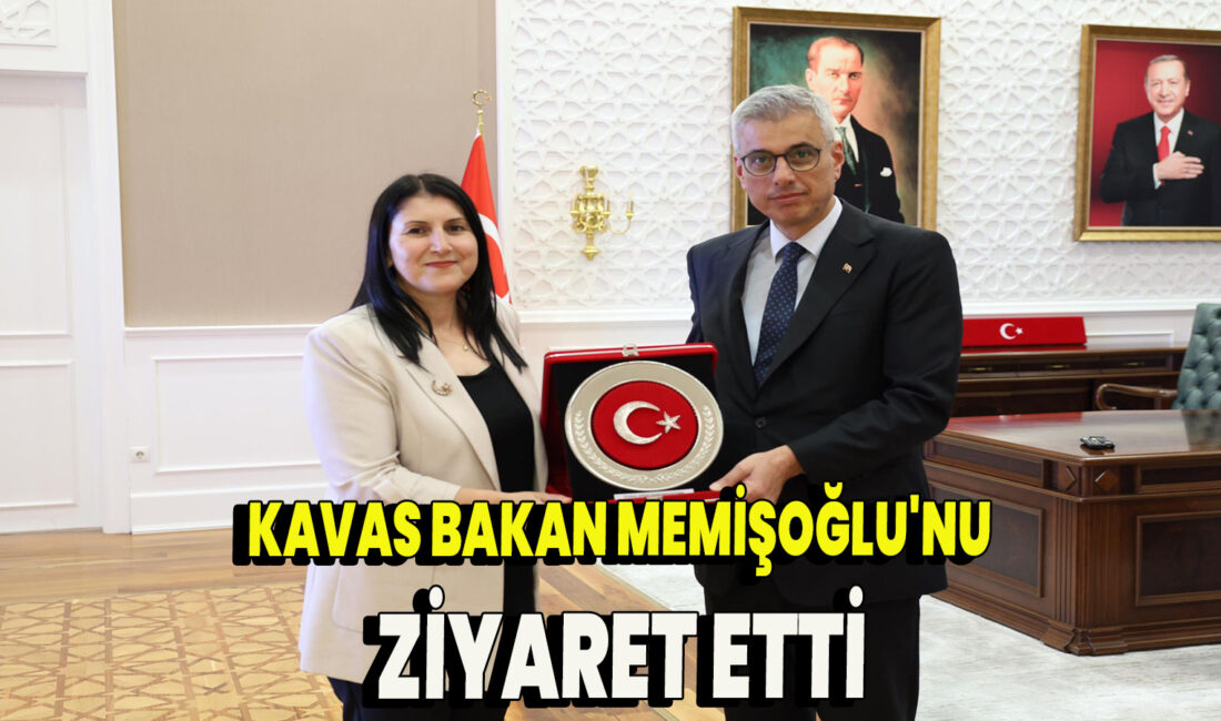 Ulusal Otizm Konfederasyonu Genel Başkanı Fatma Kilci Kavas, Genel Başkan