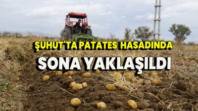 Afyonkarahisar’ın Şuhut ilçesinde kışlık Agria cinsi patatesin hasadı tüm hızıyla