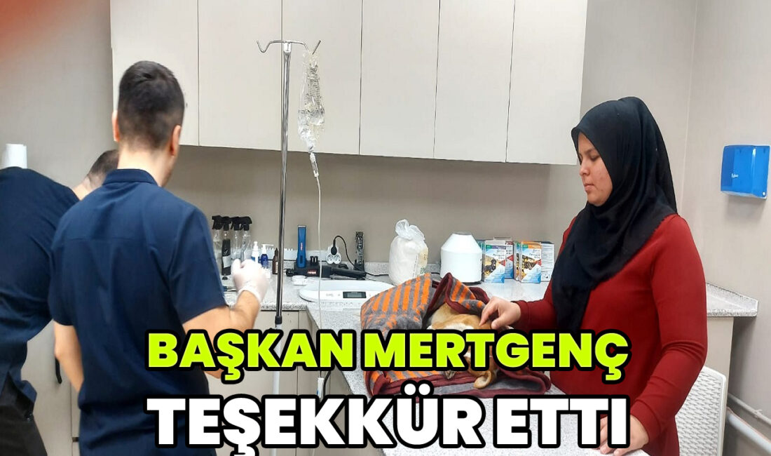 Dernek Başkanı Reyhan Mertgenç yaptığı açıklamada şu ifadelere yer verdi,