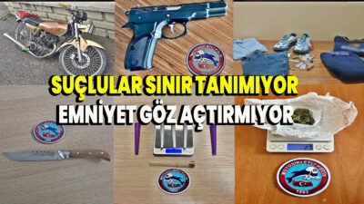 Gerçekleştirilen çalışmalar kapsamında, İl merkezinde 1 iş yeri ve ikamette