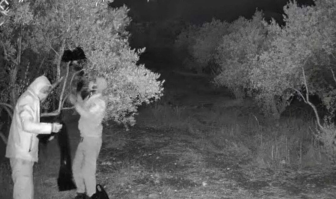 Aydın’ın Didim İlçesi’nde jandarma ekiplerinin radarına tarihi eser kaçakçılığı yapan