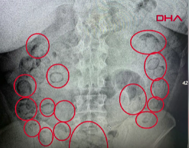 Aksaray Emniyet Müdürlüğü Narkotik Suçlarla Mücadele Şubesi ekipleri, Adana kara