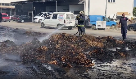 Yangın, Serik ilçesine bağlı Akçaalan Mahallesi Sanayi mevkisinde meydana geldi.