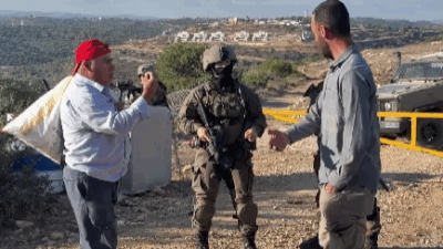 Ramallah yakınlarındaki Kuber köyünden bir grup Filistinli çiftçi, köyün batısında