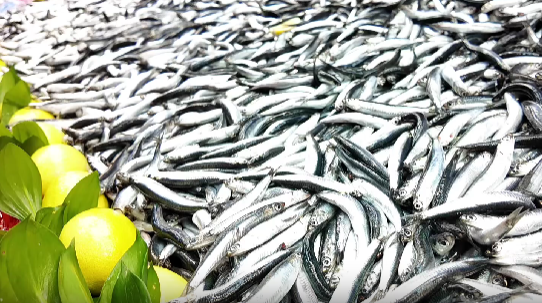 Bolu’da haftalık halk pazarında bu hafta hamsi rüzgarı esti. İhsaniye