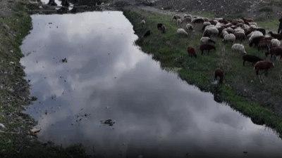 Dere, çevresine biriken moloz yığınları ve çöpler nedeniyle siyaha bürünmüş