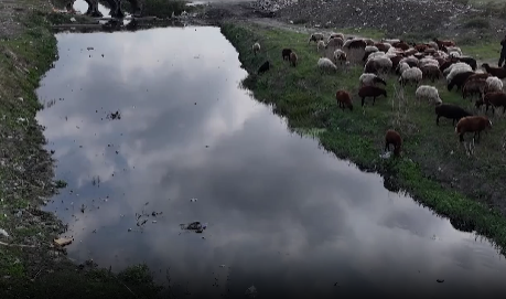 Dere, çevresine biriken moloz yığınları ve çöpler nedeniyle siyaha bürünmüş