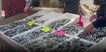 Zonguldak Merkez balık halinde yerli hamsinin kilosu 70 liraya indi.