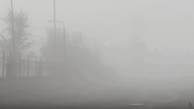 Iğdır’da sabah saatlerinde başlayan yoğun sis, şehirde günlük yaşamı ve