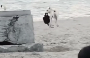 Olay, dün akşam saatlerinde Büyükçekmece’nin plajında meydana geldi. Deniz kenarında